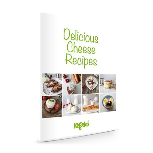 DELICIOUS CHEESE RECIPES / Cheese maker